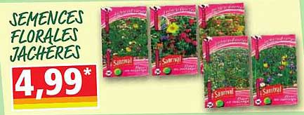 semences florales jacheres