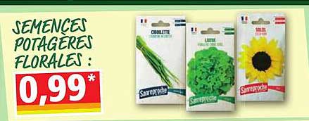 semences potagères florales