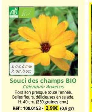 souci des champs bio