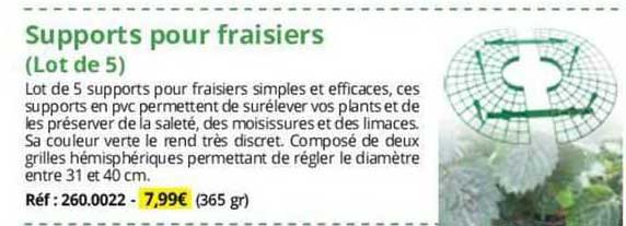 Supports Pourn Fraisiers (lot De 5)