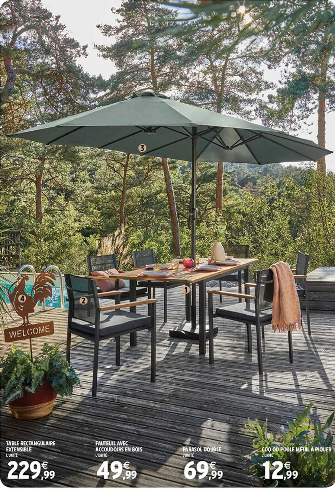 table rectangulaire extensible, fauteuil avec accoudoirs en bois, parasol double, coq ou poule métal à piquer