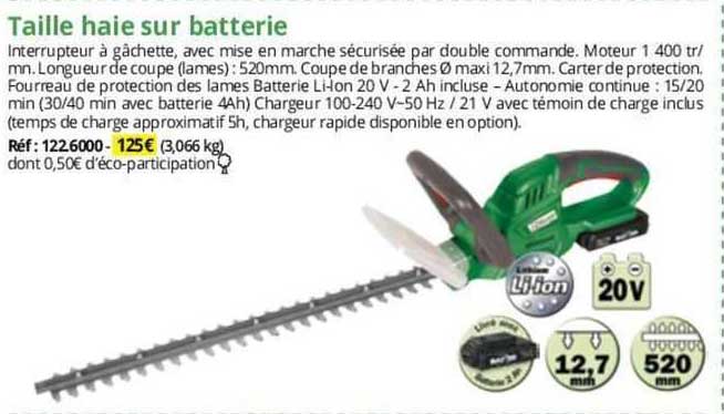 Taille Haie Sur Batterie