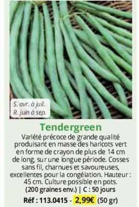 Tendergreen