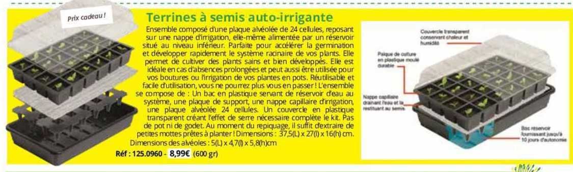 terrines à semis auto-irrigante