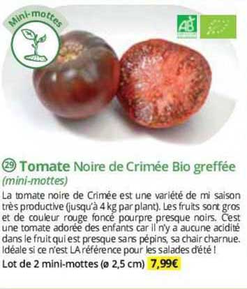 tomate noire de crimée bio greffée (mini-mottes)