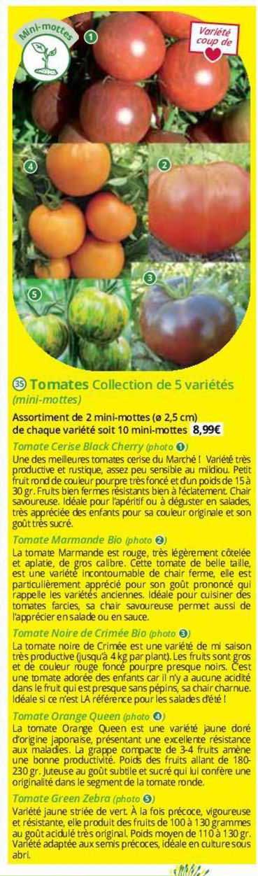 tomates collection de 5 variétés (mini-mottes)