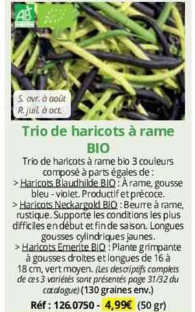 trio de haricots à rame bio