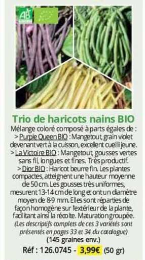 Trio De Haricots Nains Bio