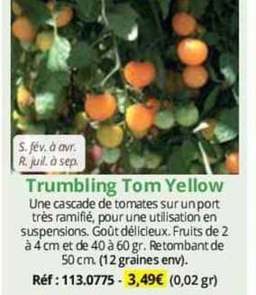 trumbling tom yellow