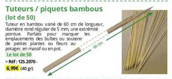 tuteurs / piquets bambous