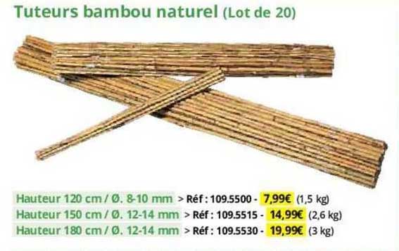 tuteurs bambou naturel