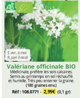 Valériane Officinale Bio