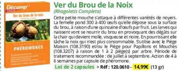 ver du brou de la noix