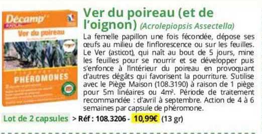 ver du poireau (et de l'oignon)