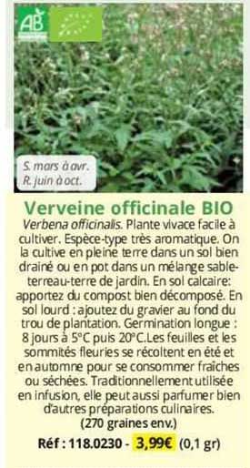 verveine officinale bio