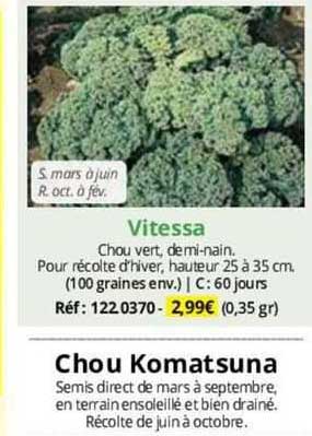 vitessa chou komatsuna