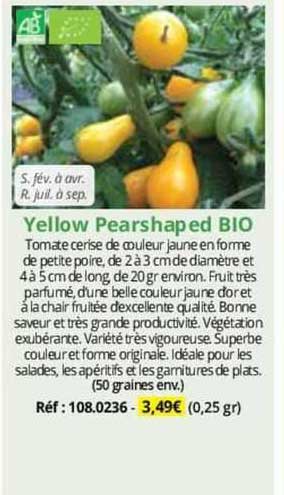 yellow pearshaped bio