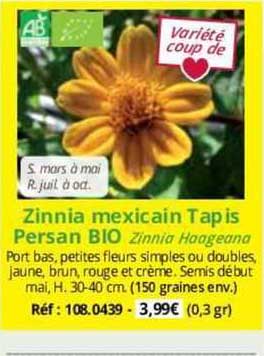 Zinnia Mexicain Tapis Persan Bio