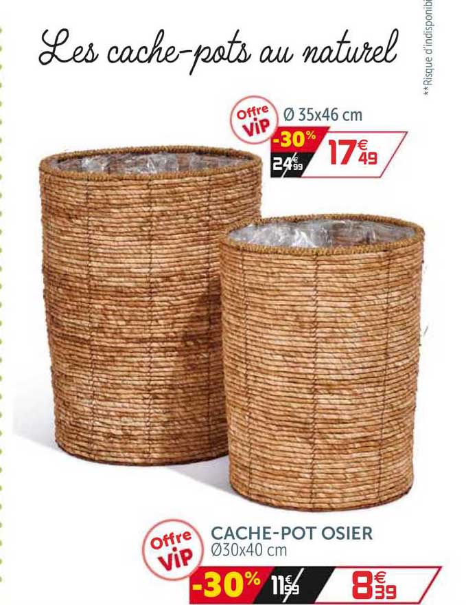 cache-pot osier