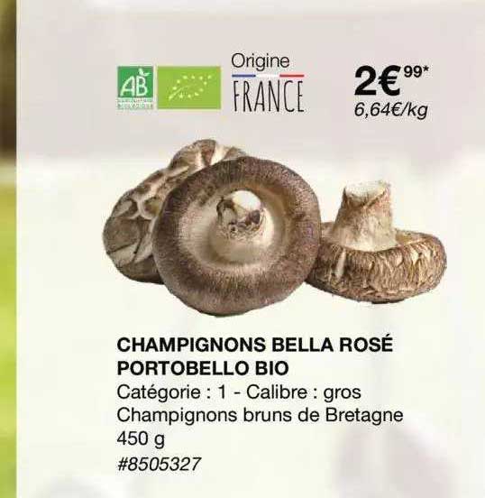 champignons bella rosé portobello bio