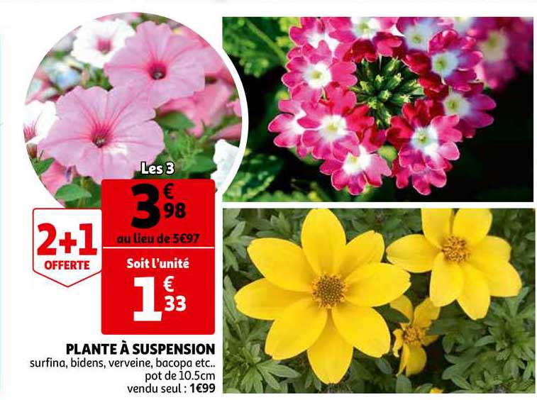 Plante à Suspension