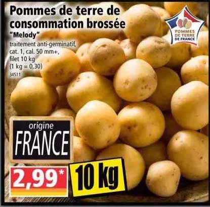 pommes de terre de consommation brossée "melody"
