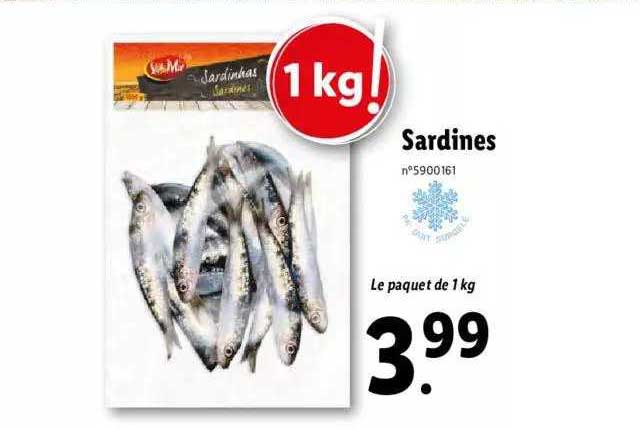 Sardines