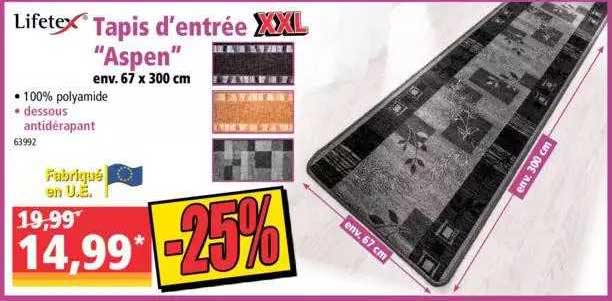 tapis d'entrée "aspen" lifetex