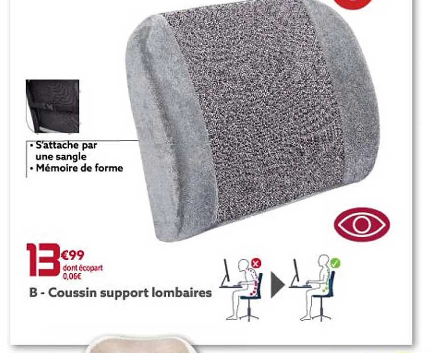coussin support lombaires