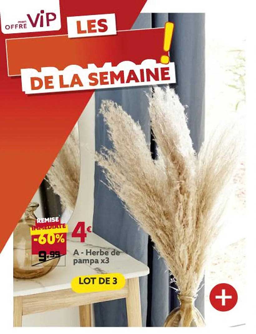herbe de pampa x 3