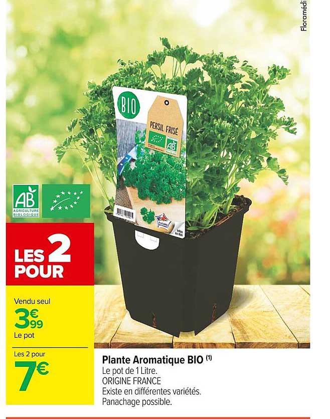 Plante Aromatique Bio