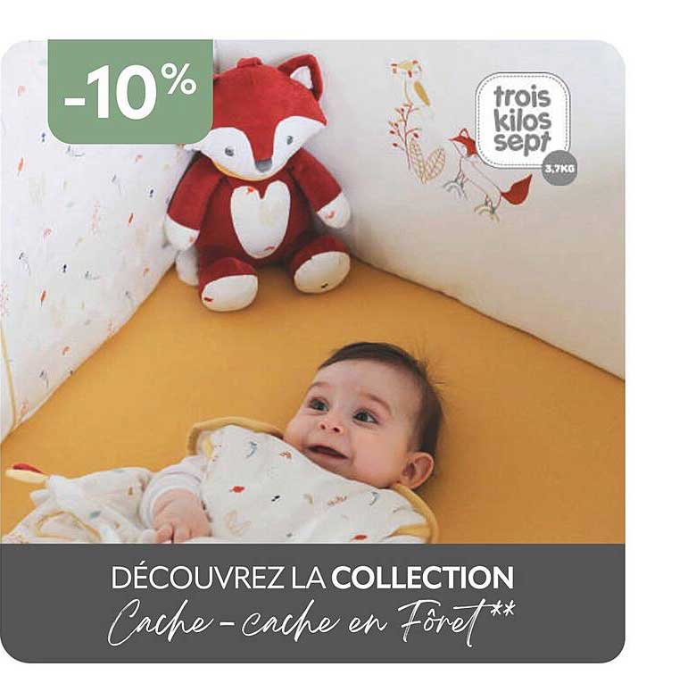 la collection cache-cache en fôret