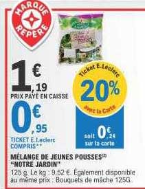 mélange de jeunes pousses "notre jardin"