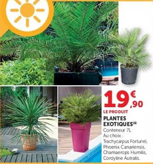 PLANTES EXOTIQUES(4)