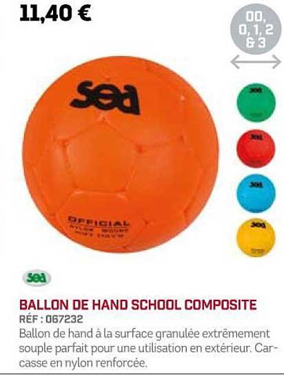 ballon de hand school composite