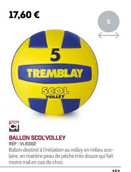 Ballon Scol'volley