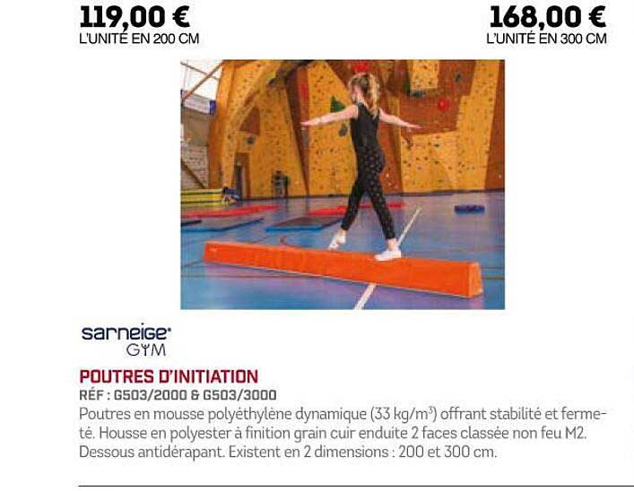 poutres d'initiation sarneige gym