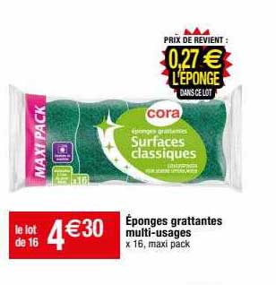 éponges grattantes multi-usages cora