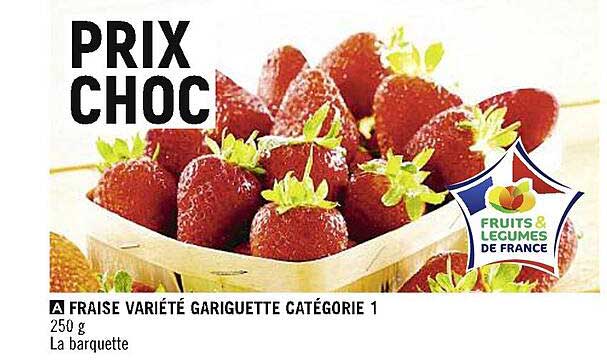 fraise variété gariguette catégorie 1