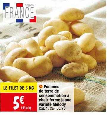 pommes de terre de consommation à chair ferme jaune variété mélody