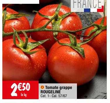 Tomate Grappe Rougeline