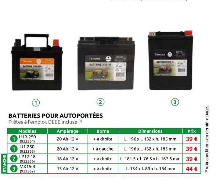 batteries pour autoportées