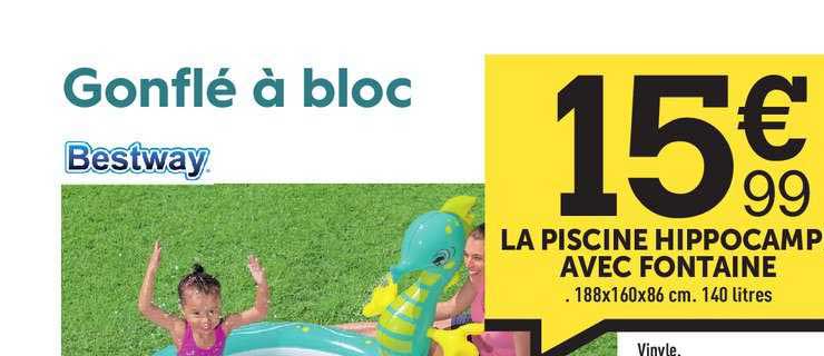 La Piscine Hippocampe Avec Fontaine Bestway