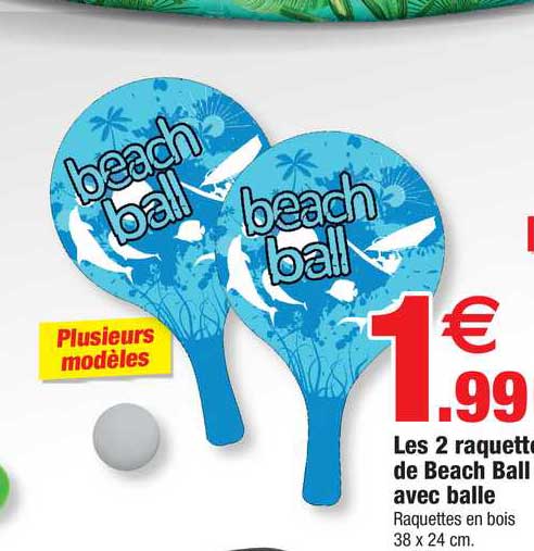 les 2 raquettes de beach ball avec balle