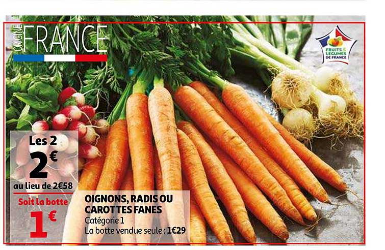 Oignons Radis Ou Carottes Fanes
