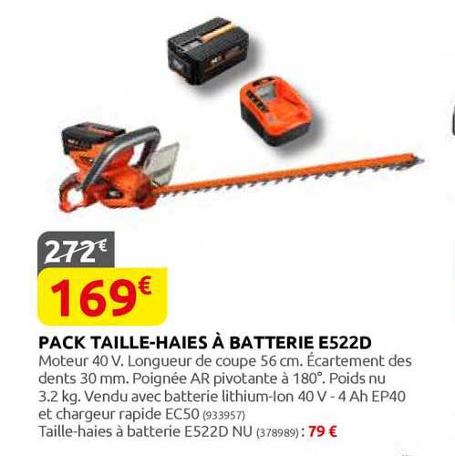 pack taille-haies à batterie e522d