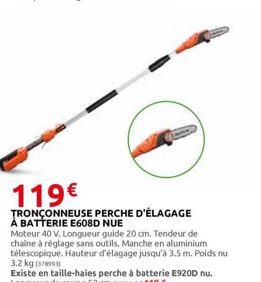 tronçonneuse perche d'élagage à batterie e608d nue