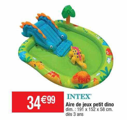 aire de jeux petit dino intex