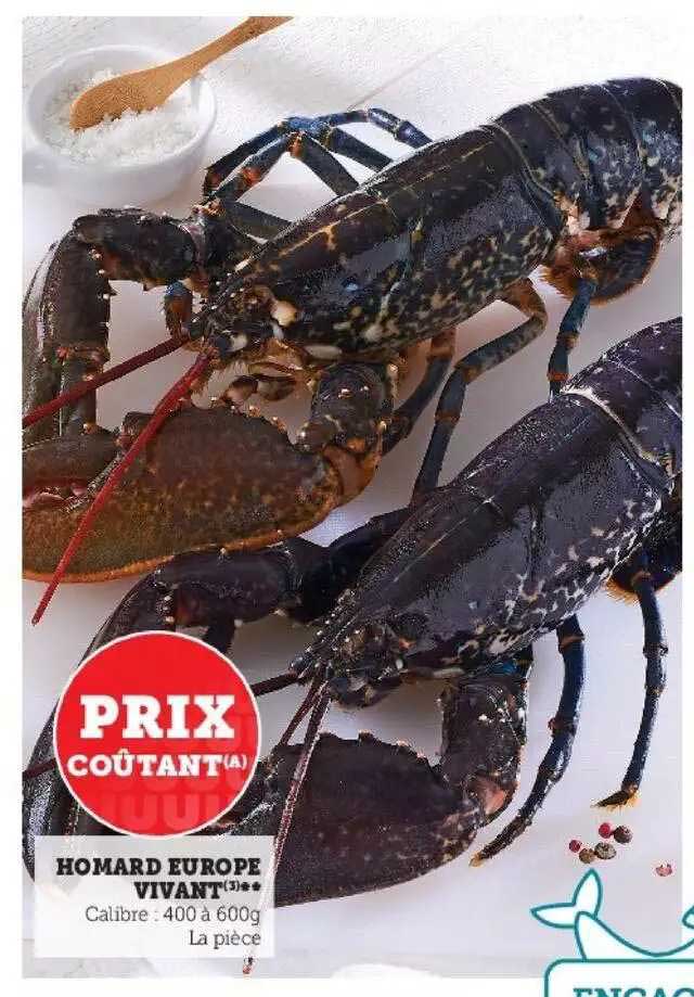 homard europe vivant