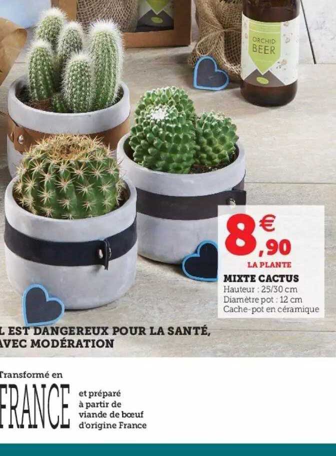 Mixte Cactus